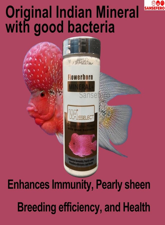 SANSEFERO بريمير بلانتس فلاور هورن مينيرال بلس، معادن هندية أصلية مع كفاءة تكاثر البكتيريا الجيدة والصحة (100 غرام) - Image 2